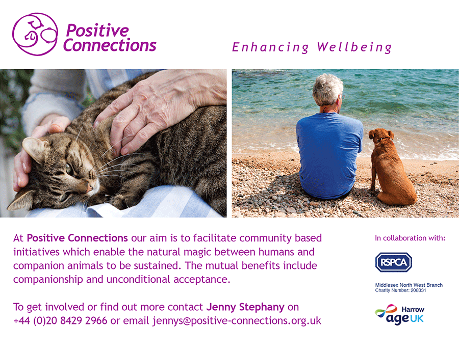 Positive Connections - enhancing wellbeing in partnership with companion animals